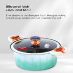 10L Multifunctional Enamel Micro Pressure Cooker Soup Pot and Stew Pot