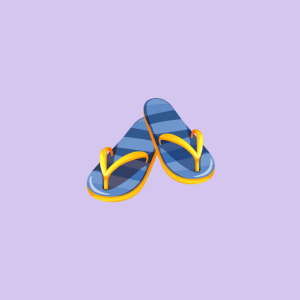Men Flip Flops & Sandels