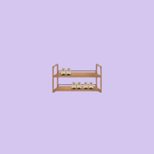 Shoe Rack
