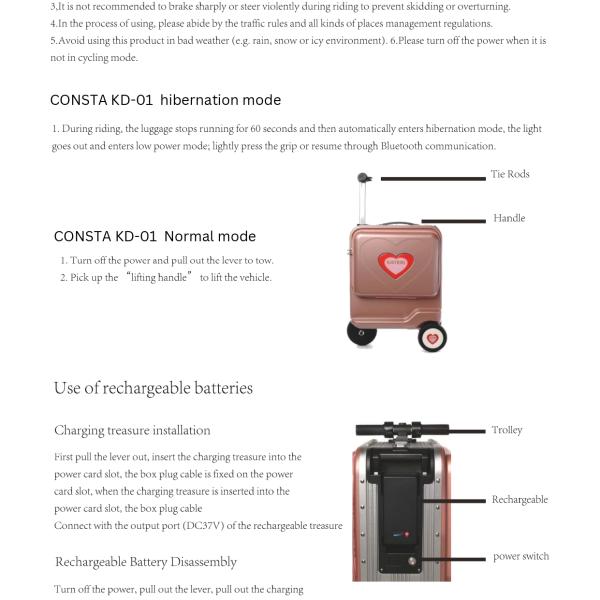Consta Carry-on Electric Luggage Bag