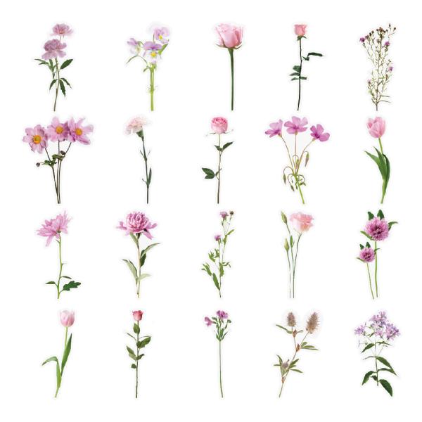 Waterproof Transparent Pet Flower Stickers Bullet Journal Diy Tulip Material Handbook Decals Office Culture Stationery Stickers