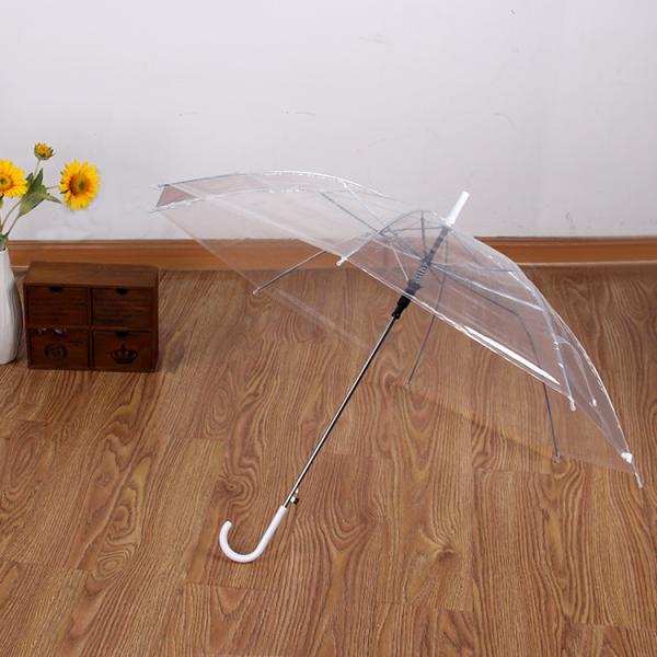 Creative Fresh Long Handle Transparent Umbrella Colorful Straight Rod Rain Umbrella Automatic Logo Advertising Gift