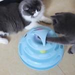 Spinner Wheel