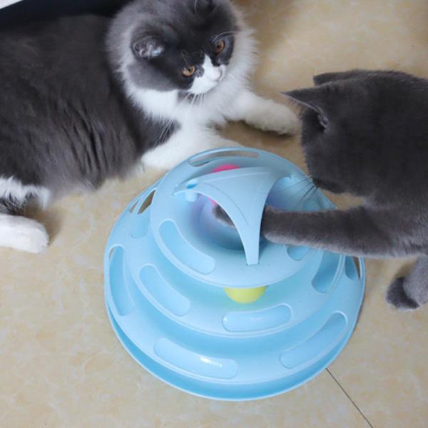 Spinner Wheel