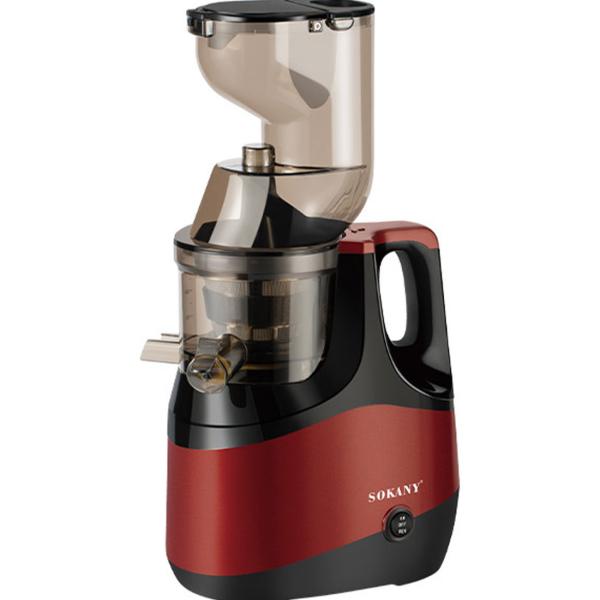 Masticating Juicer