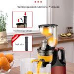 Masticating Juicer
