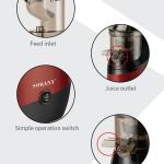 Masticating Juicer