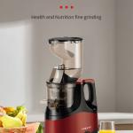 Masticating Juicer