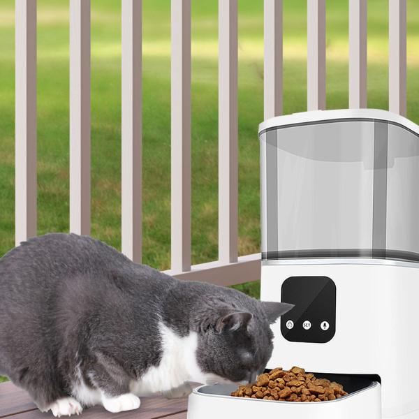 Bowls/Feeders