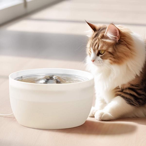 Bowls/Feeders