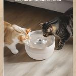 Bowls/Feeders