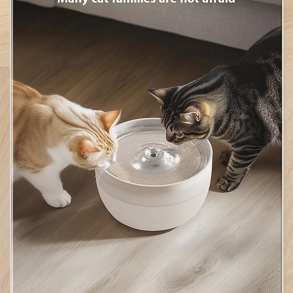 Bowls/Feeders