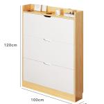 Shoe Cabinets