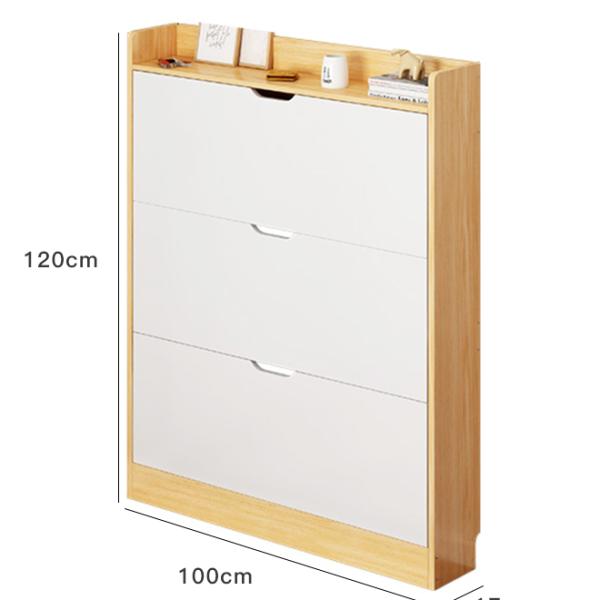 Shoe Cabinets