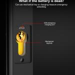Door Hardware & Locks