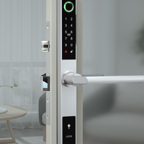 Door Hardware & Locks