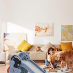 Play Sets & Playground Equipment
