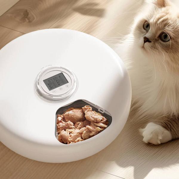 Bowls/Feeders