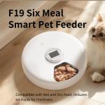 Bowls/Feeders
