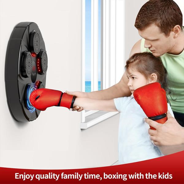 Boxing Gym Equipment