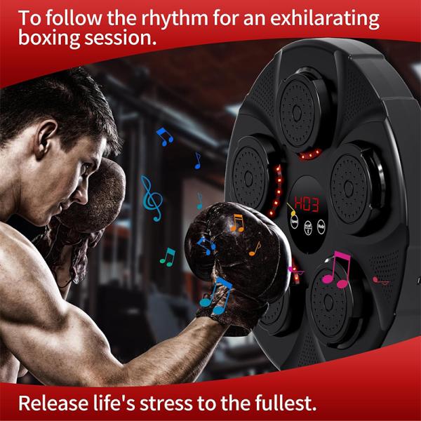 Boxing Gym Equipment