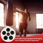 Boxing Gym Equipment
