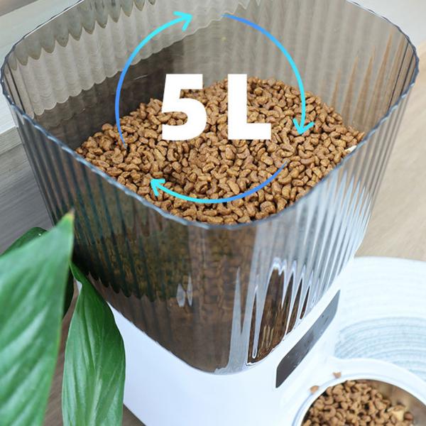 Bowls/Feeders