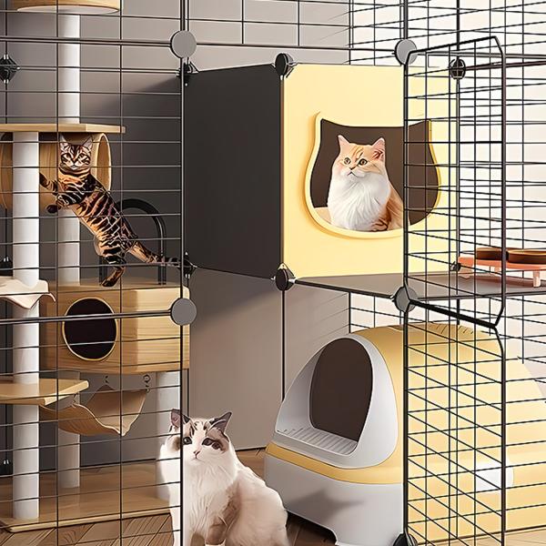 Cages