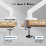 Monitor Arms & Mounts