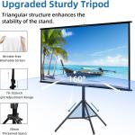 Projector Screens
