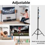 Projector Screens