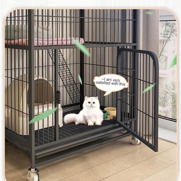 Cages