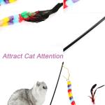 Rainbow Striped Caterpillar with Feather Teaser Stick