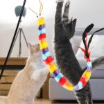 Rainbow Striped Caterpillar with Feather Teaser Stick
