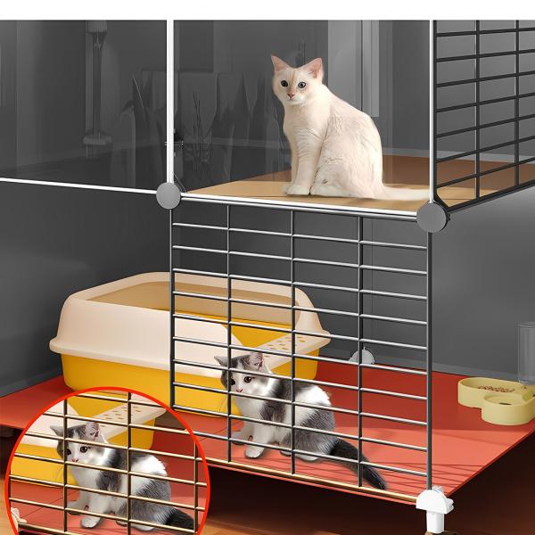 Cages