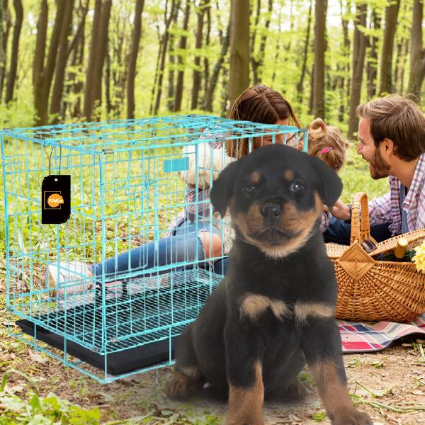 Cages