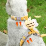 Collars/Harness/Leashes/Leads