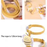 Collars/Harness/Leashes/Leads