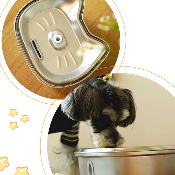 Bowls/Feeders