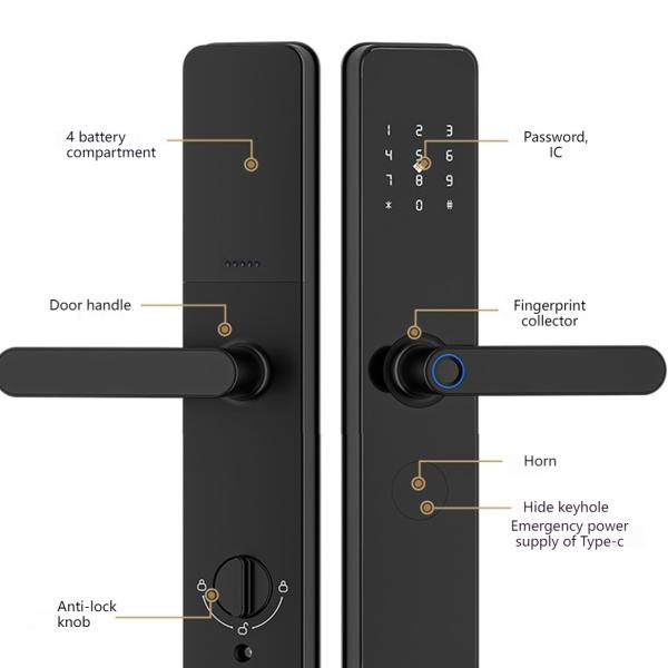 Door Hardware & Locks