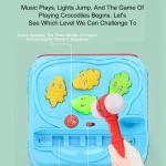 Early Development Toys