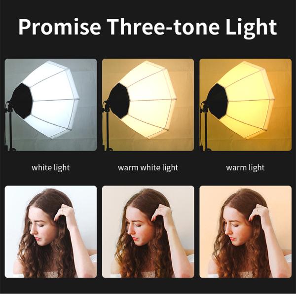 Photography Light Kit