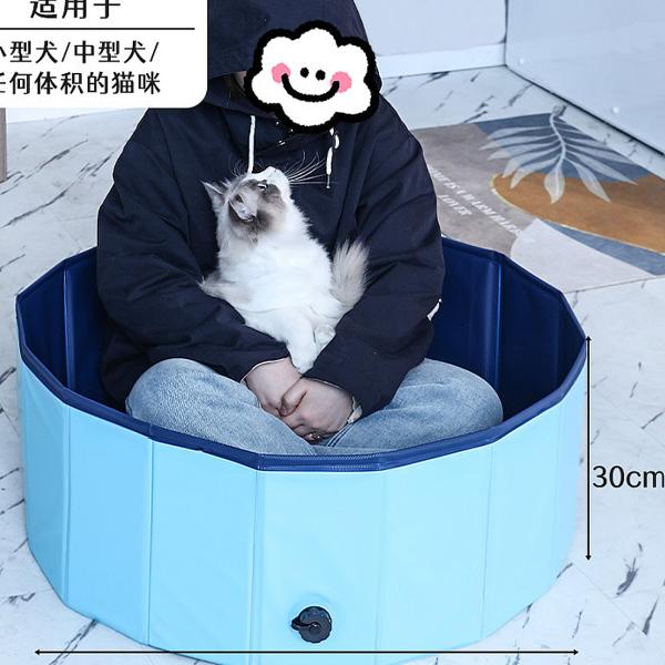 Pet Pools