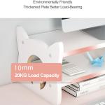 Storage File Boxes