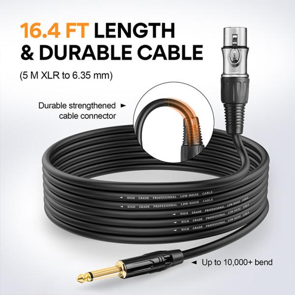 Wired Microphone