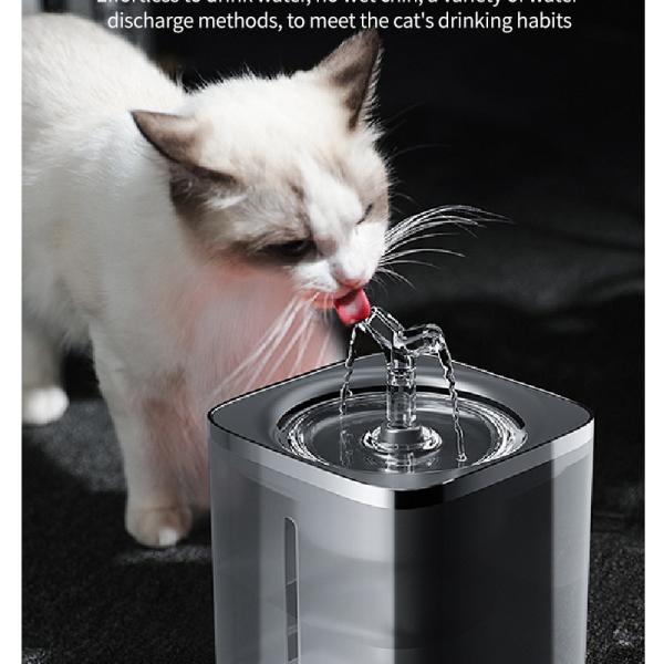Bowls/Feeders
