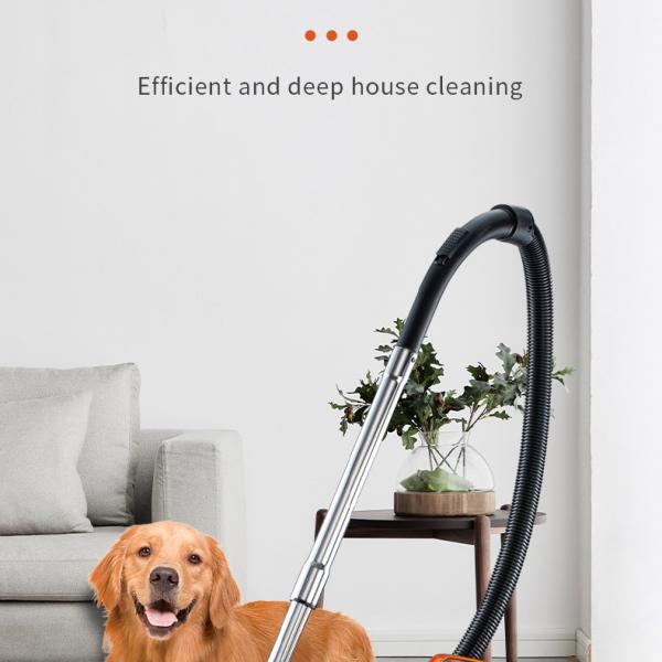 Canister Vacuum