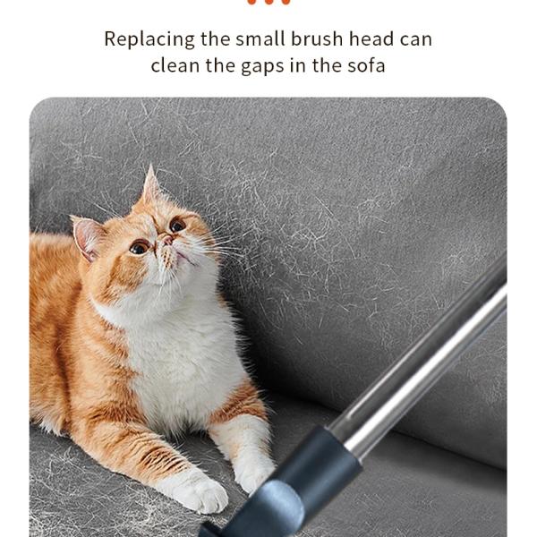 Canister Vacuum
