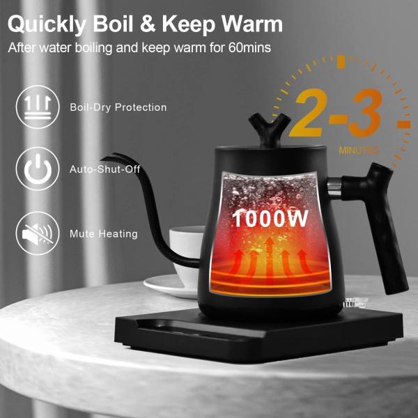 Electric Kettle