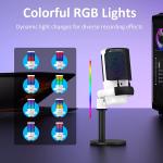 PC Microphones